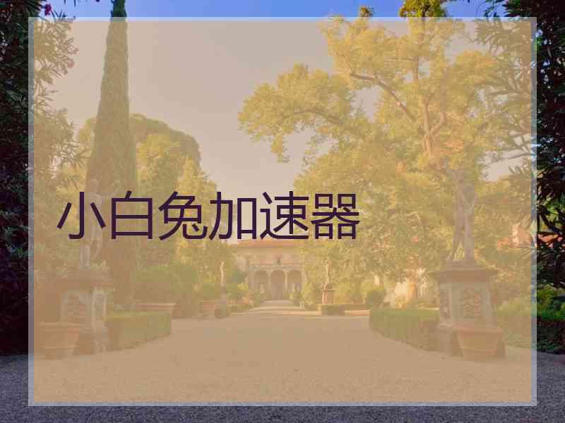 小白兔加速器