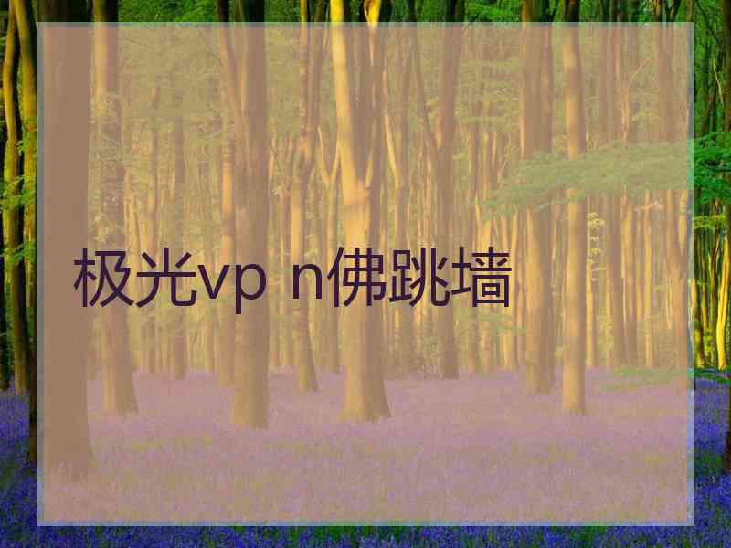 极光vp n佛跳墙