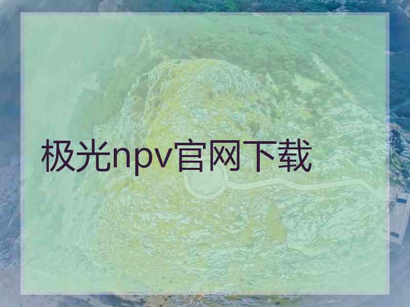 极光npv官网下载