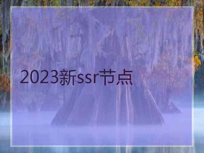 2023新ssr节点