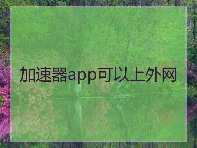 加速器app可以上外网