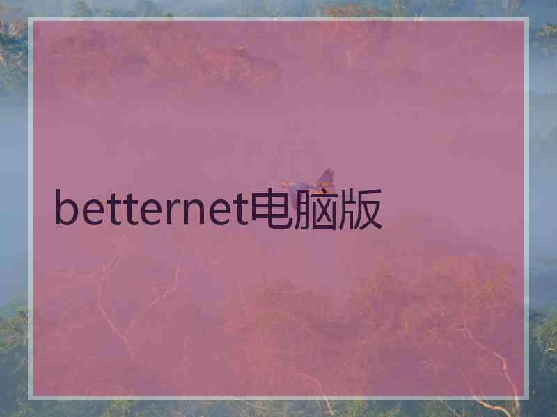 betternet电脑版