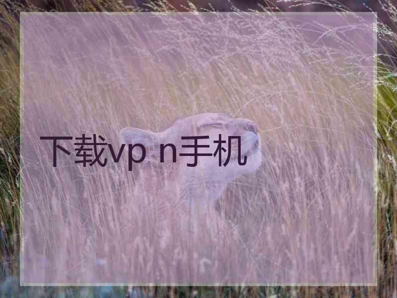 下载vp n手机