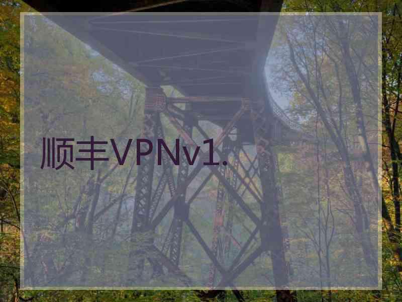 顺丰VPNv1.