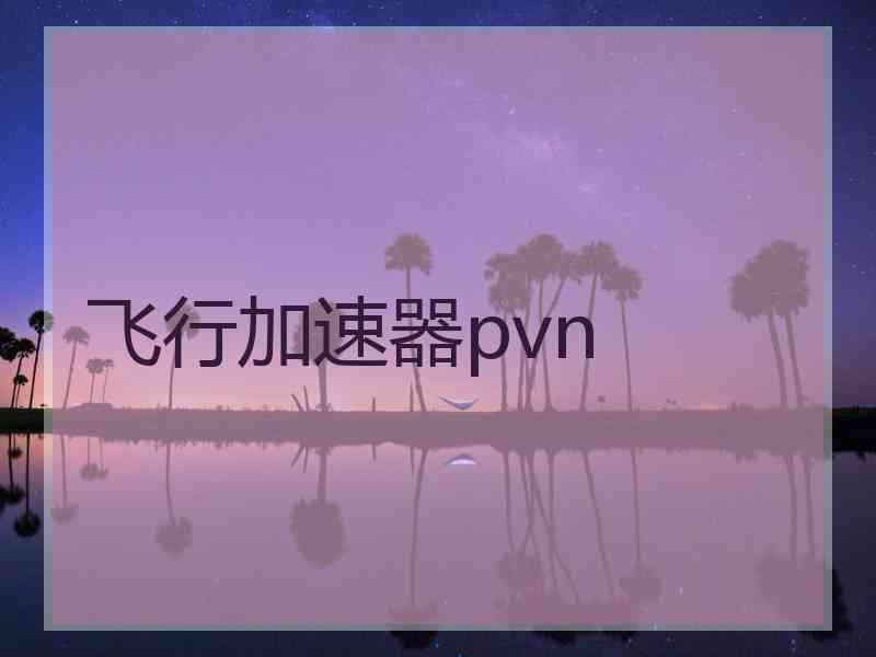 飞行加速器pvn