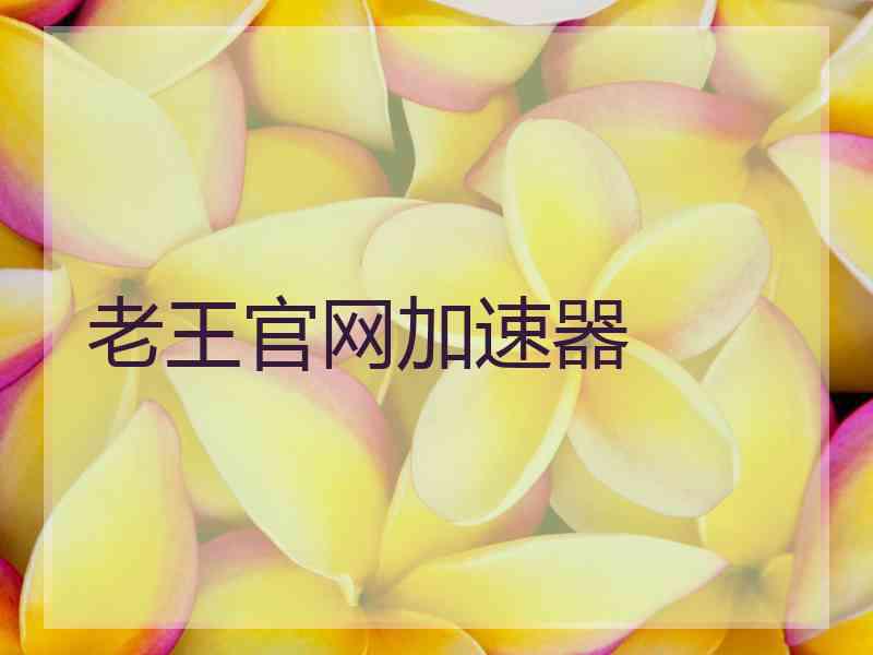 老王官网加速器