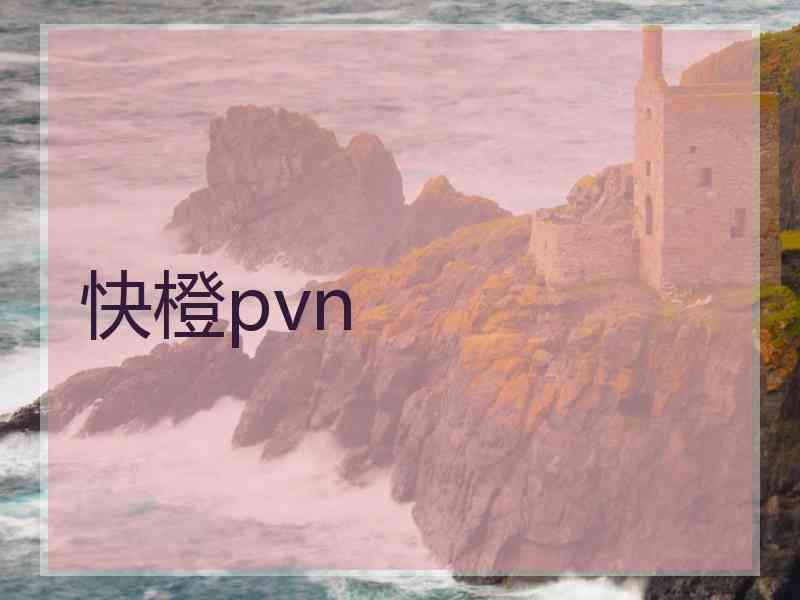 快橙pvn