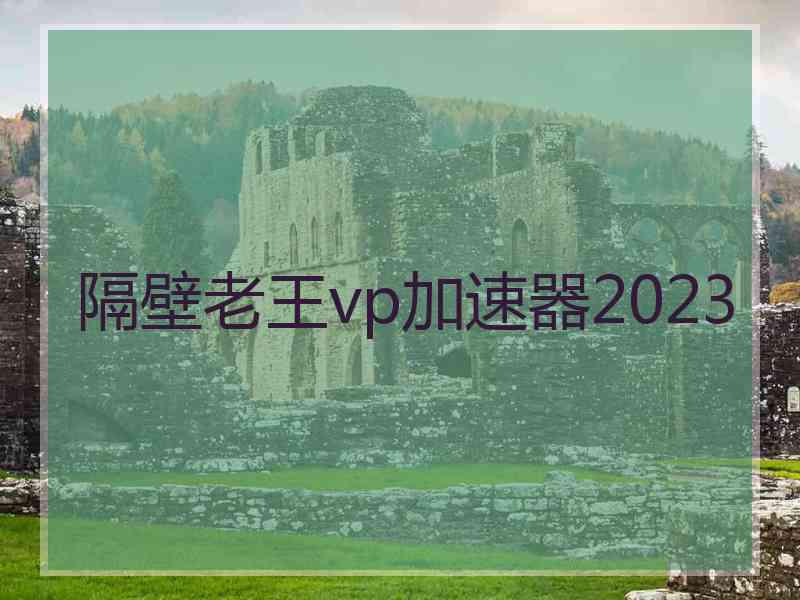 隔壁老王vp加速器2023