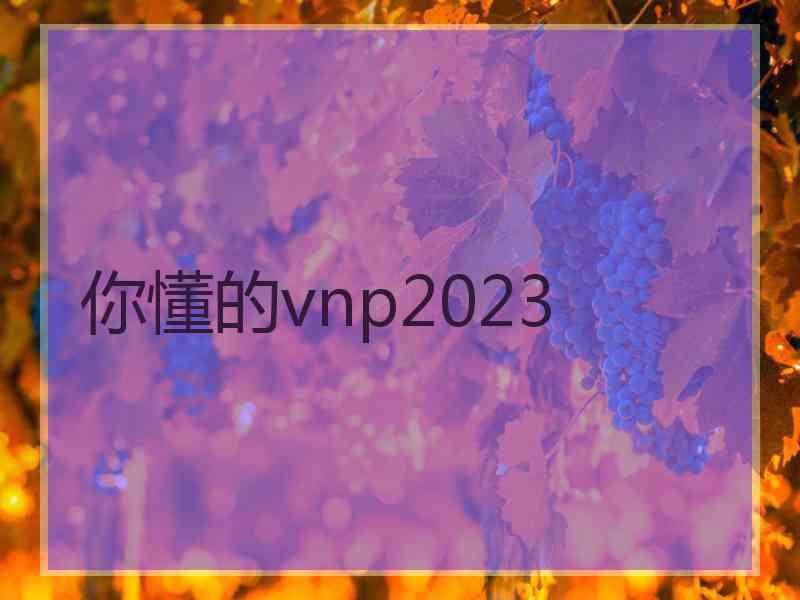 你懂的vnp2023