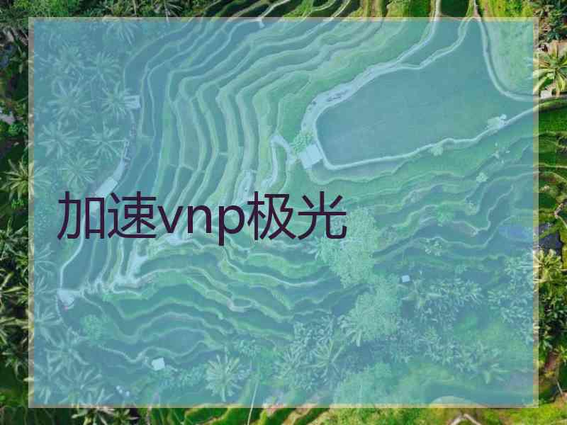 加速vnp极光