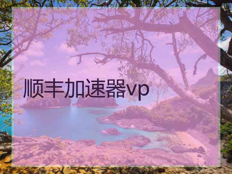 顺丰加速器vp