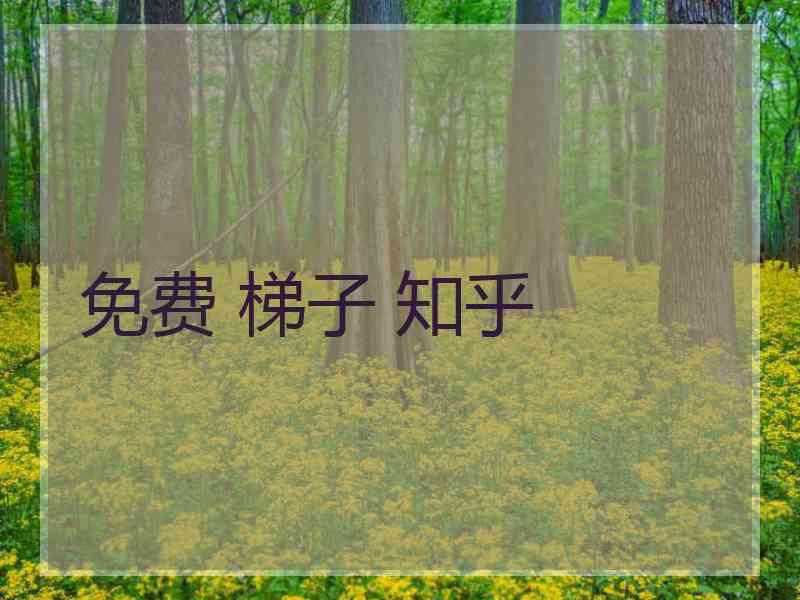 免费 梯子 知乎