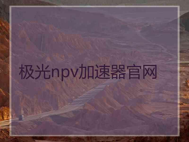 极光npv加速器官网