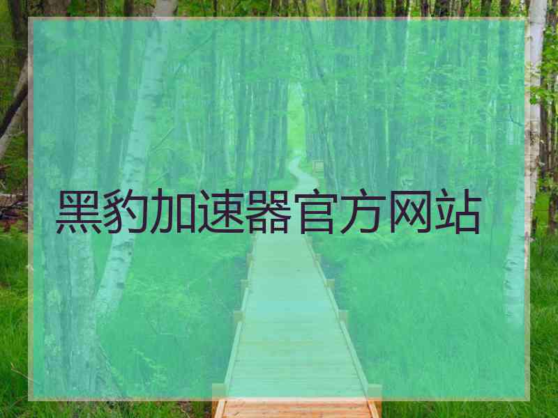 黑豹加速器官方网站