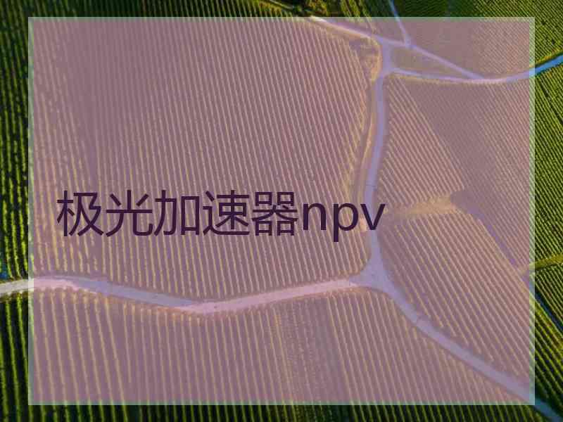 极光加速器npv