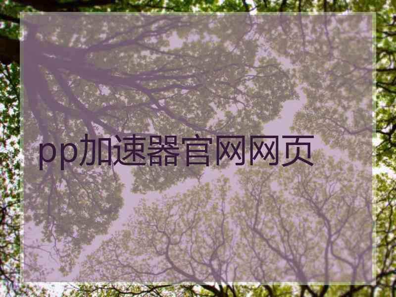 pp加速器官网网页