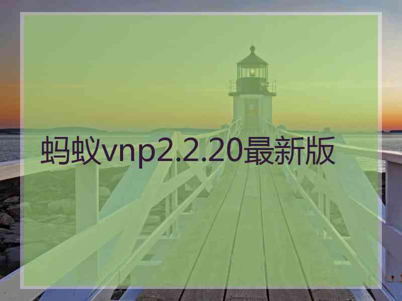 蚂蚁vnp2.2.20最新版