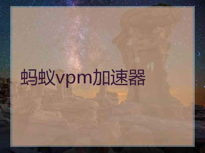 蚂蚁vpm加速器