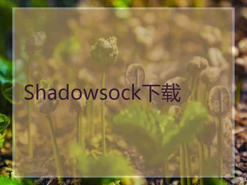 Shadowsock下载