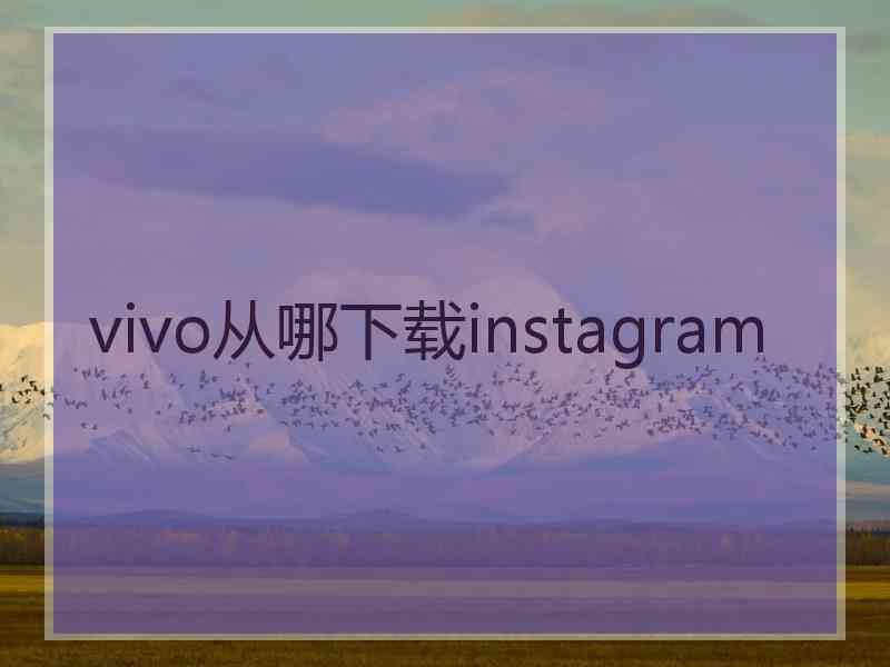 vivo从哪下载instagram