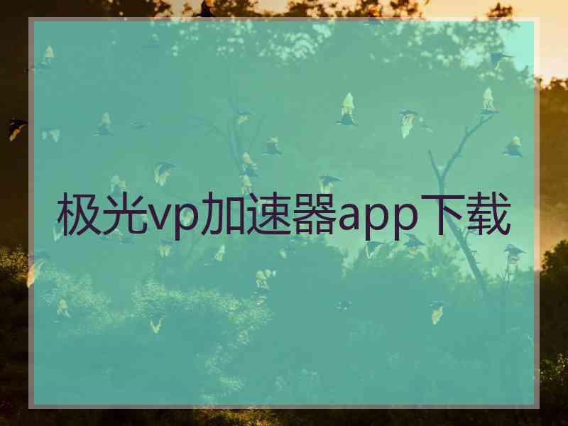 极光vp加速器app下载