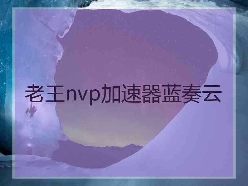 老王nvp加速器蓝奏云