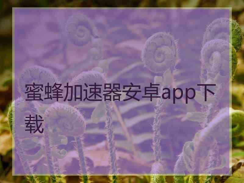 蜜蜂加速器安卓app下载