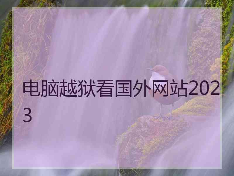 电脑越狱看国外网站2023