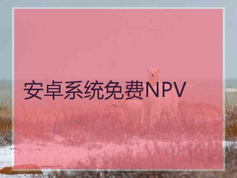 安卓系统免费NPV