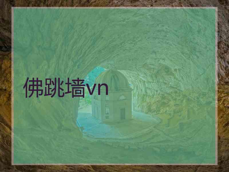 佛跳墙vn