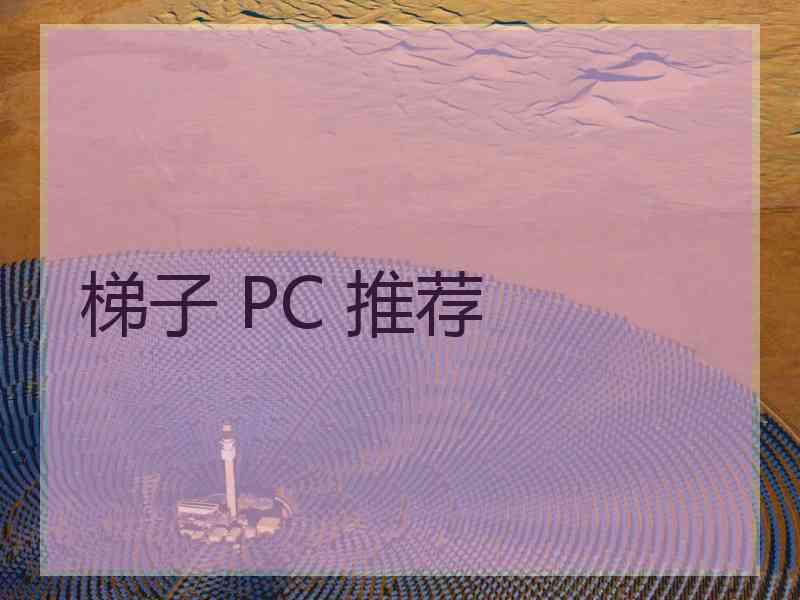 梯子 PC 推荐