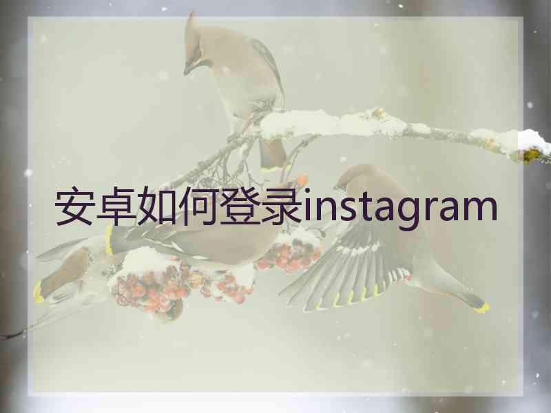 安卓如何登录instagram