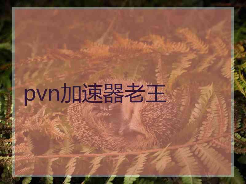 pvn加速器老王