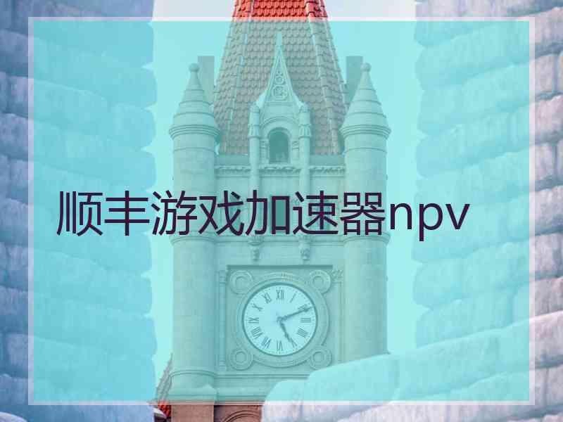 顺丰游戏加速器npv