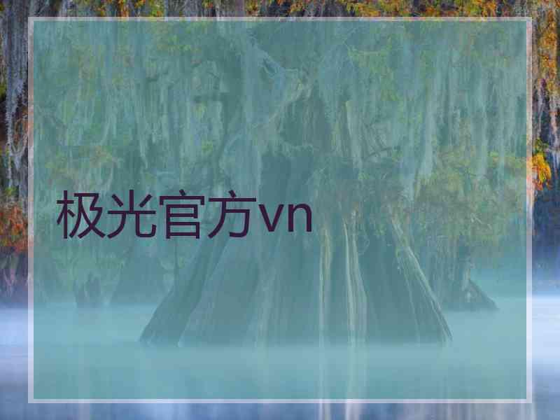 极光官方vn