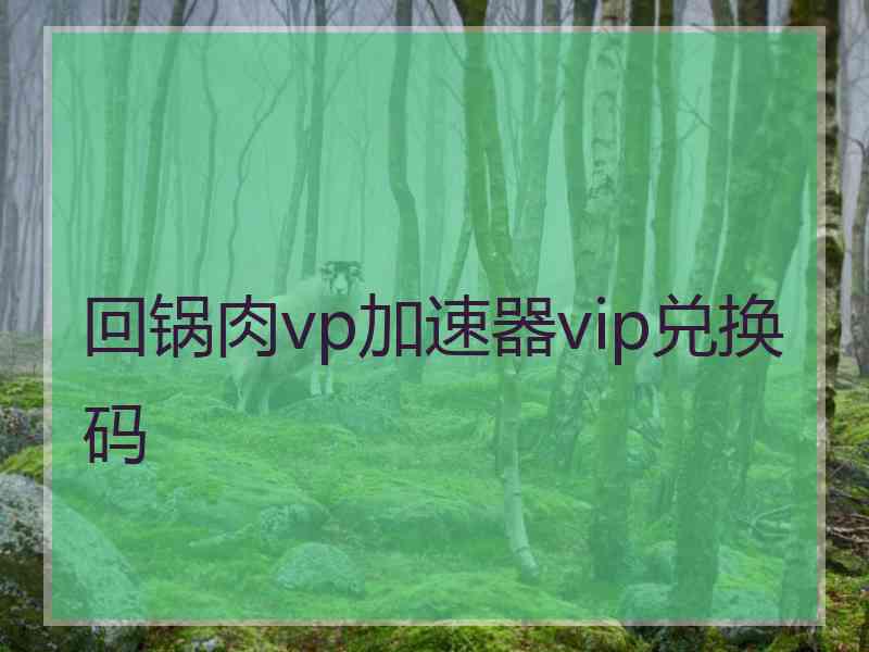 回锅肉vp加速器vip兑换码