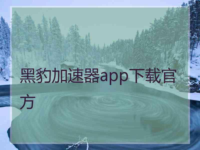 黑豹加速器app下载官方