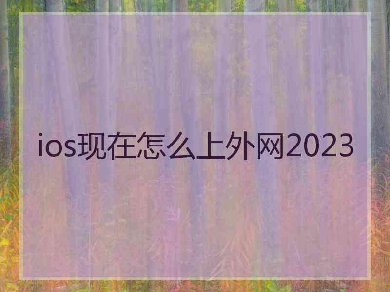 ios现在怎么上外网2023