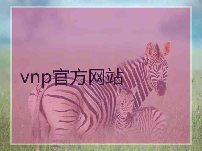 vnp官方网站