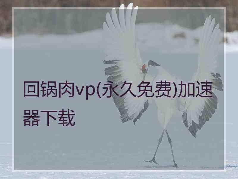 回锅肉vp(永久免费)加速器下载