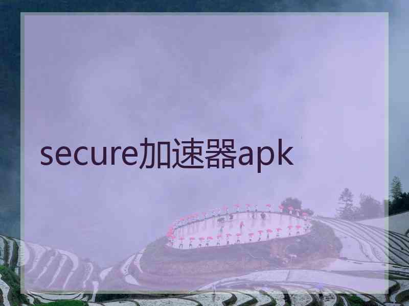 secure加速器apk