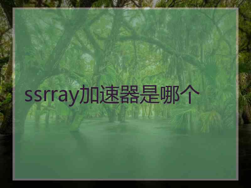 ssrray加速器是哪个