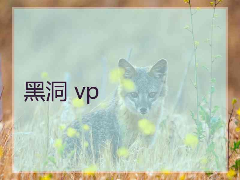 黑洞 vp