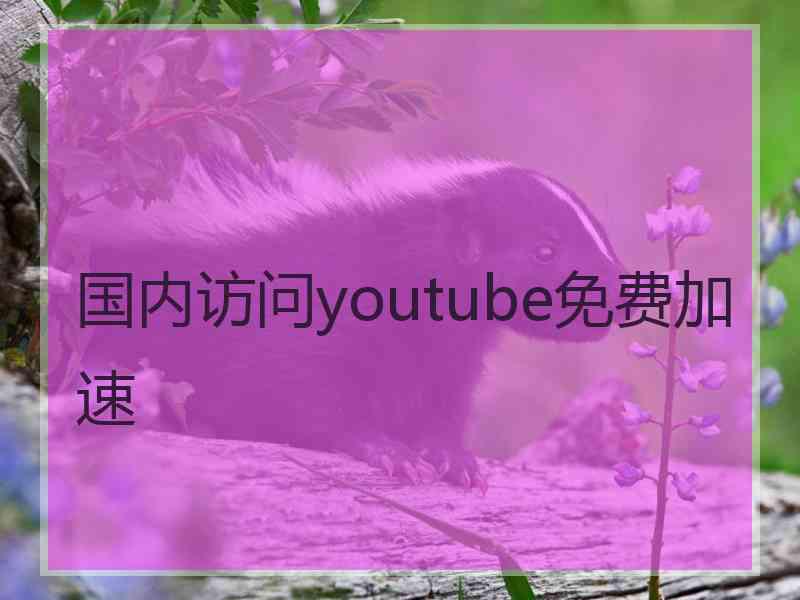 国内访问youtube免费加速