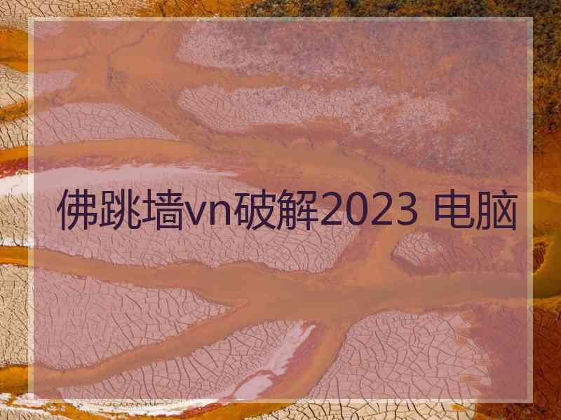 佛跳墙vn破解2023 电脑