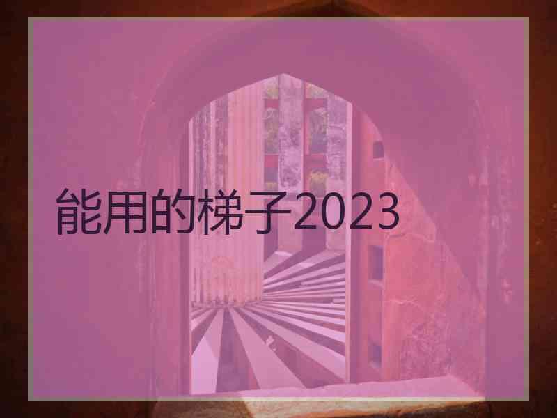 能用的梯子2023