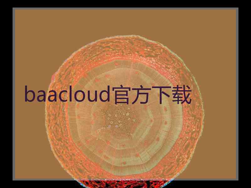 baacloud官方下载