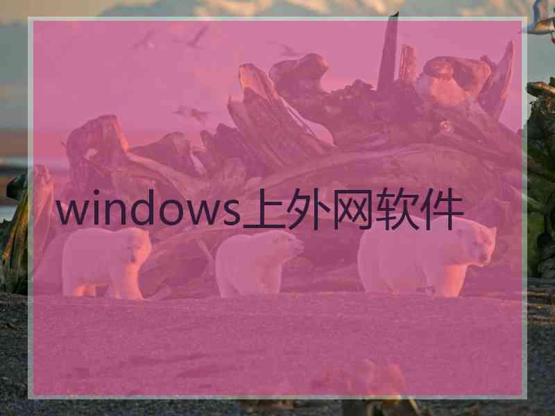 windows上外网软件