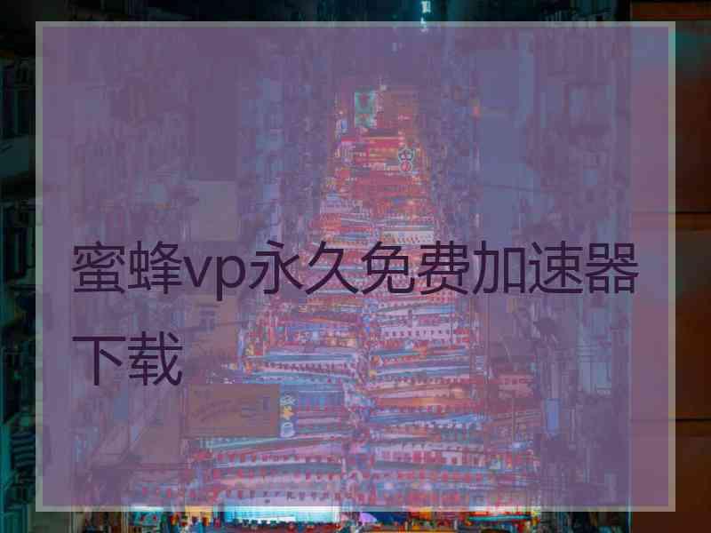 蜜蜂vp永久免费加速器下载