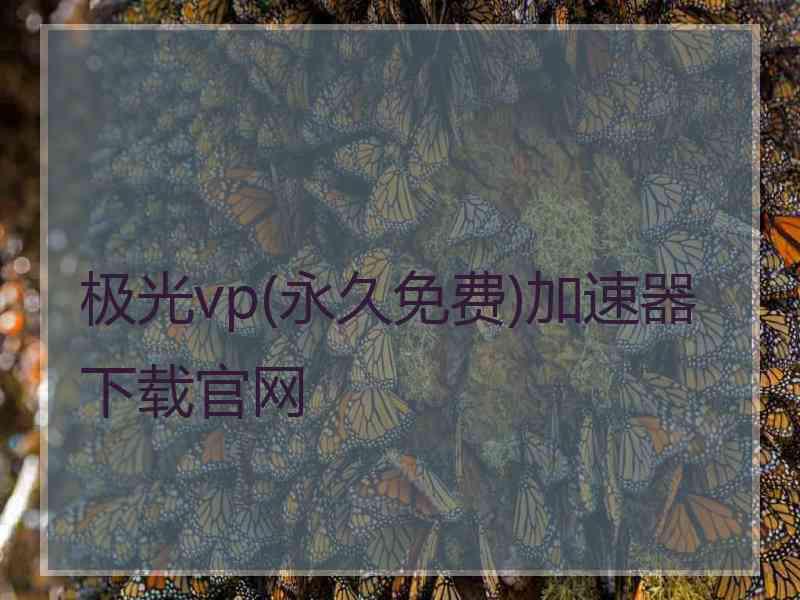 极光vp(永久免费)加速器下载官网